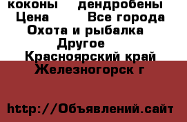 коконы    дендробены › Цена ­ 25 - Все города Охота и рыбалка » Другое   . Красноярский край,Железногорск г.